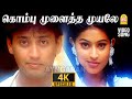 Kombu Mulaitha Muyale 4K Video Song கொம்பு முளைத்த Virumbugiren Prashanth 