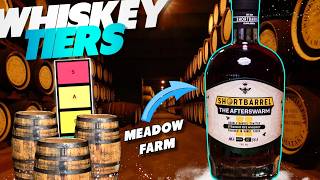 ShortBarrel The Afterswarm: Meadowfarm Review
