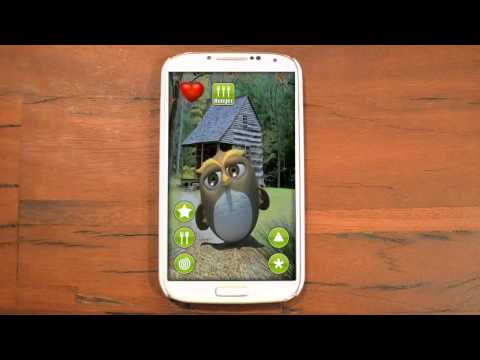 Talking Owl