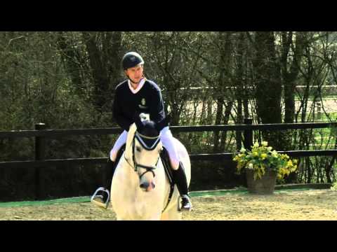 Chap II - Hengstschau 2016