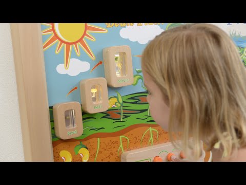 Light up Life Cycles Learning Boards - Masterkidz Wall Elements