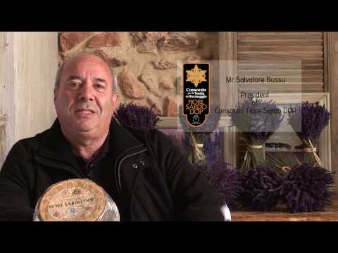 TECHeese FIORE SARDO.mpg