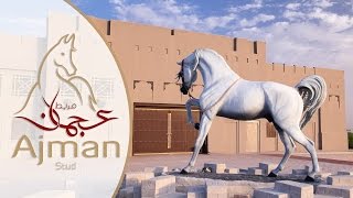 preview picture of video 'UAE: Ajman Stud Timelapse/Hyperlapse'