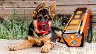 How to Stop Neighbors Dog from Barking
