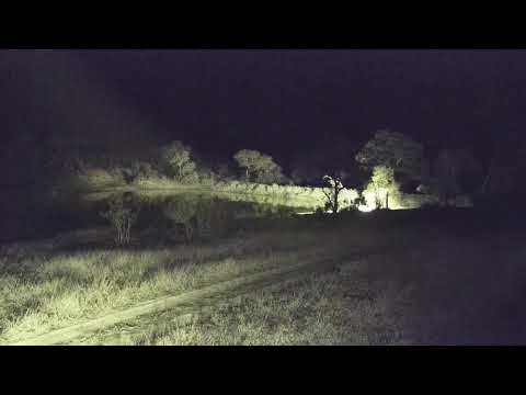 Djuma Private Game Reserve Live Stream