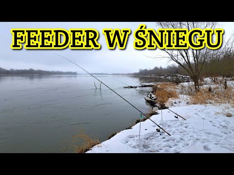 ZIMOWA ZASIADKA NAD WISŁĄ / odc. 246