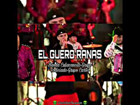 EL GUERO RANAS//Banda Culiacancito X Grupo Codiciado X Grupo Cartel