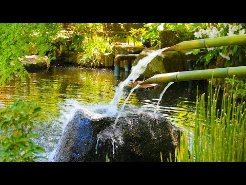 20 Minutes Meditation Music, Pure Clean Energy,  Positive Vibration, Meditation Music, Water Sounds