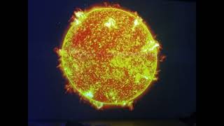 Tom Waits: The last rose of summer