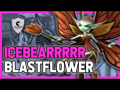 icebearrrrr Willo Competitive (Grandmaster) BLASTFLOWER - Godlike X13