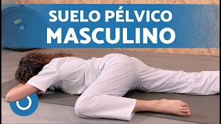 Pelvic floor exercises for men 🧔🏽‍♂️ Where is the pelvic floor located in men?