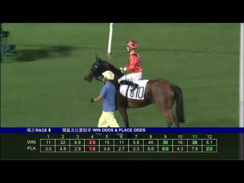 2022 07 06 快活谷 第八場 平海歡聲 巴度