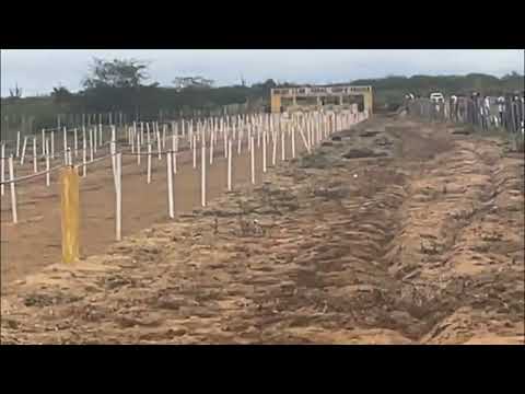 2° PÁREO CLASSIFICATÓRIO HGP - 2022