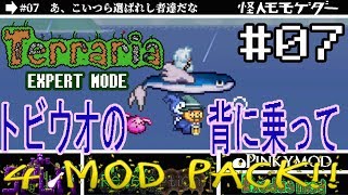 【テラリア】MODをゆるり攻略(SPLIT,Redemption,PINKY,Exodus)#07【実況Terraria】