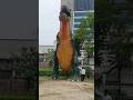 Youtube Comedians Videos Status Shorts Youtubeshorts Shortvideo