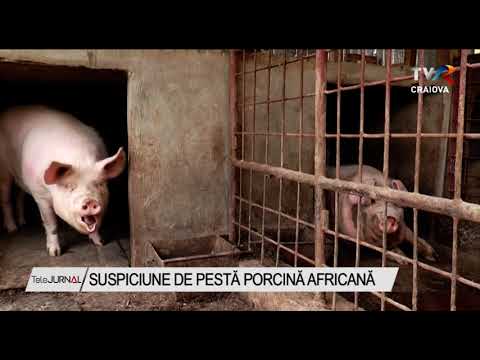 , title : 'SUSPICIUNE DE PESTĂ PORCINĂ AFRICANĂ'