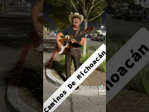 Caminos De Michoacán - Federico Villa