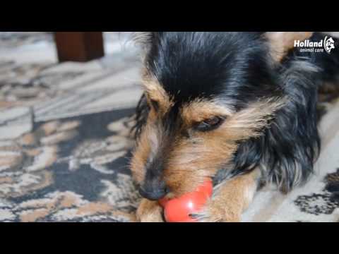 Kong - Kong Classic (EN)