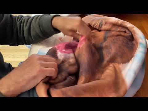 Minky Blankets Versus Sherpa Blankets