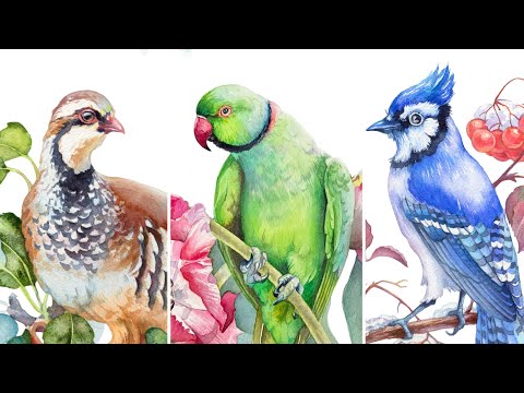 How to Paint Birds 🦜 With Watercolor