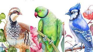 How to Paint Birds 🦜 With Watercolor