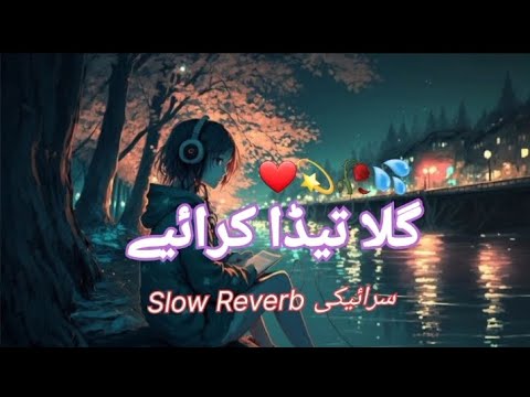 Gila Tera Kariya || Saraiki Song || Slow and Reverb || Lofi Song || #hamzatypist
