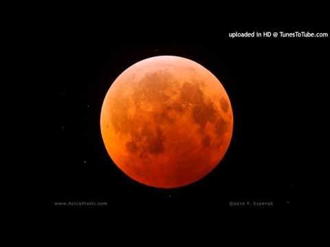 Today's Tango Is... Fenómeno - Francisco Canaro 17-02-1932