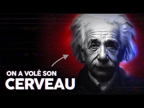 L'épopée délirante du CERVEAU d'Albert Einstein