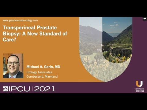 Transperineal Prostate Biopsy -- A New Standard of Care?
