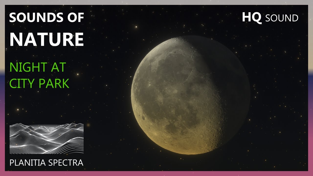 Night at City Park | Crickets | Relaxation | HQ Sounds of Places | 4K | 60fps | HDR