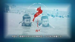2025/3/6放送・知ったかぶりカイツブリにゅーす