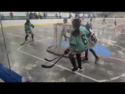 Surrey Girls U14 B1 vs Surrey Girls U14 B2 Saturday April 12 2025 Newton Arena