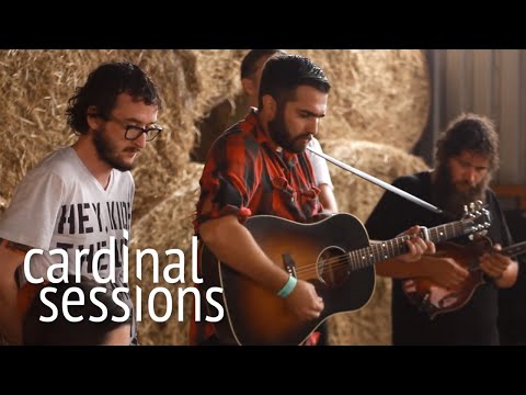 East Cameron Folkcore - Ophelia - CARDINAL SESSIONS (Haldern Pop Special)