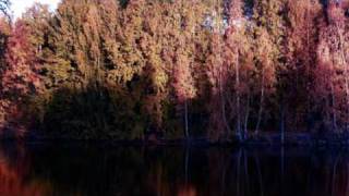 Niinkuin yö ("Love Hurts", cover) - Maggie