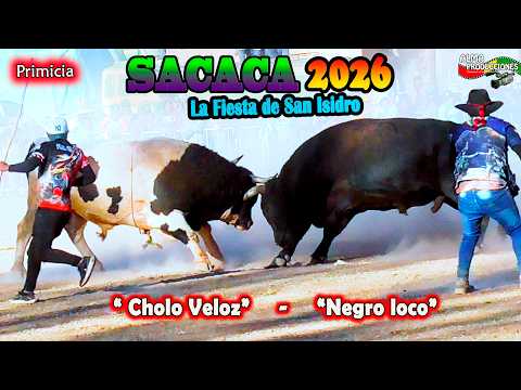 La fiesta de San Isidro SACACA 2026 T5, "Negro Loco-Cholo Veloz". Video Oficial de ALPRO BO.