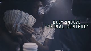 Animal Control Music Video