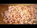 Packing Activities Kudumbashree Malappuram