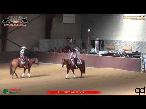 Walla Walla Genius & Gina Schumacher Futurity 4yo Champion