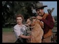 Old Yeller Clip 2