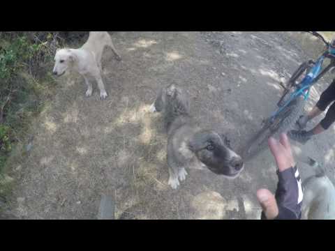 Valea Bolvașnița - Poiana Lungă cu bicicleta - Munții Cernei