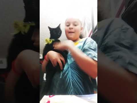mi gatita y yo haciendo un baile bonito para youtube