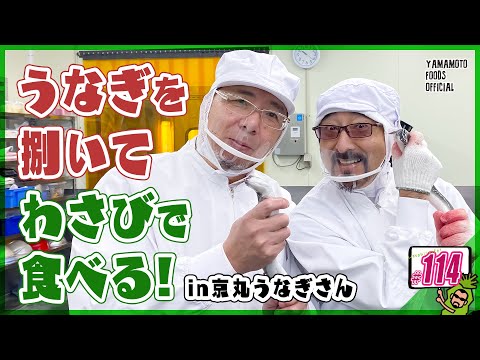 【体験】うなぎを捌いて生わさびで食べてみた！（京丸うなぎさん）【わさびチャンネル114】