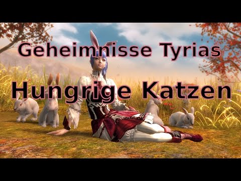 Guild Wars 2: Geheimnisse Tyrias [14] - Hungrige Katzen *HD*