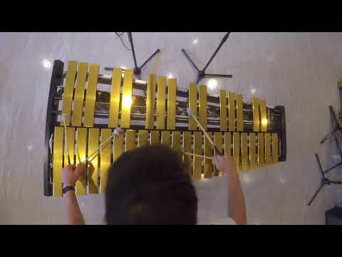 Daily Dreams - Ruben De Boeck (vibraphone solo)