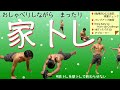 【家トレ】おしゃべりしながら家トレ(ベストボディジャパン横浜大会直前)
