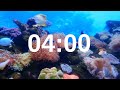 4 Minute Timer Relaxing Music Lofi Fish Background