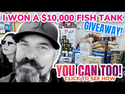 I Won a $10,000 Fish Tank Giveaway! Watch to see how you can too! #goBIG