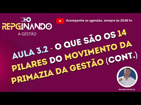 Ep.05: Aula 3.2 (contin.) - Os últimos 5 PILARES do Movimento da PRIMAZIA DA GESTÃO