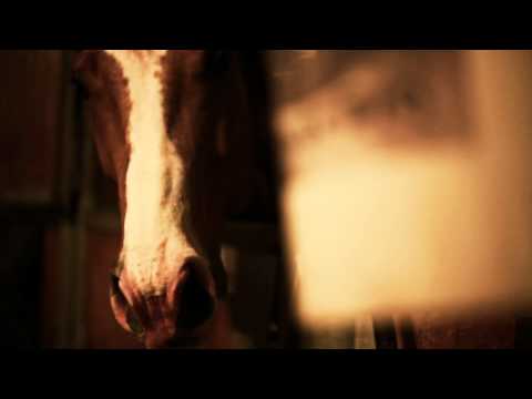 G.Monello - MI FAMILIA video teaser (prod.Mr Meeroy)