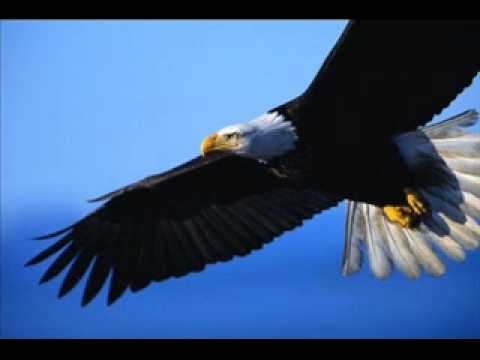 Fazero Czester- nad blokami